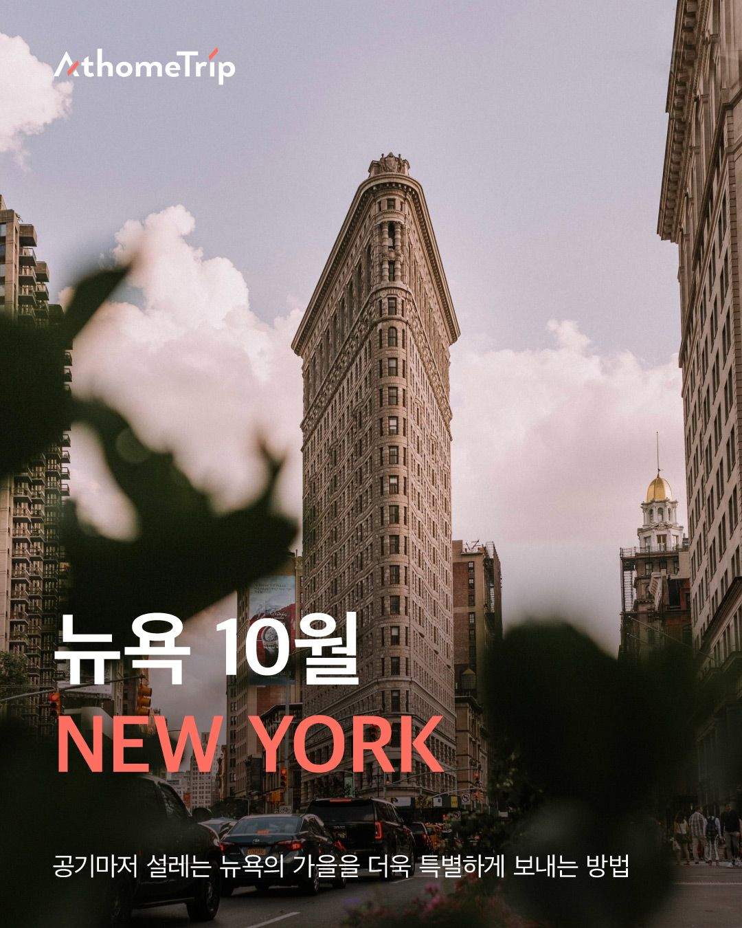 선선한 가을 뉴욕의 야외 풍경을 온전히 누리는 방법