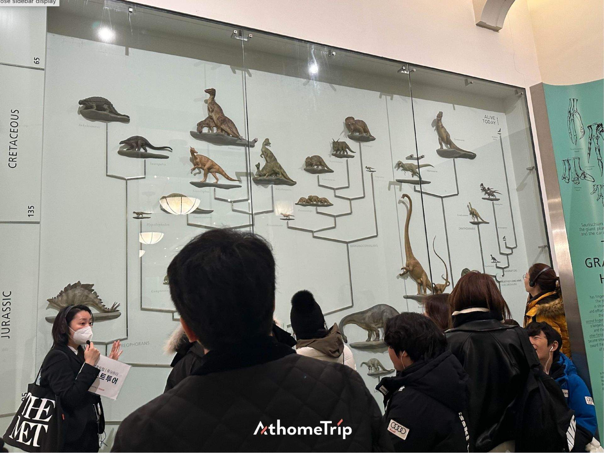 박물관 실내 전시대에 투명 패널로 보호된 표본이 전시되어 있는 장면