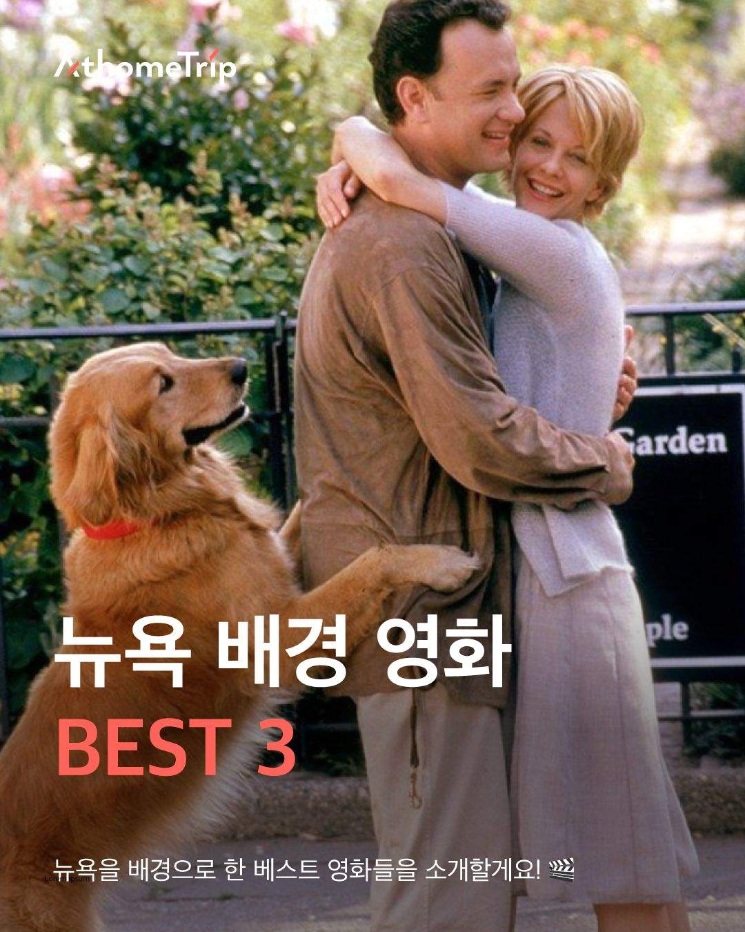 뉴욕의 풍경을 영화 속 장면처럼 마주하는 방법