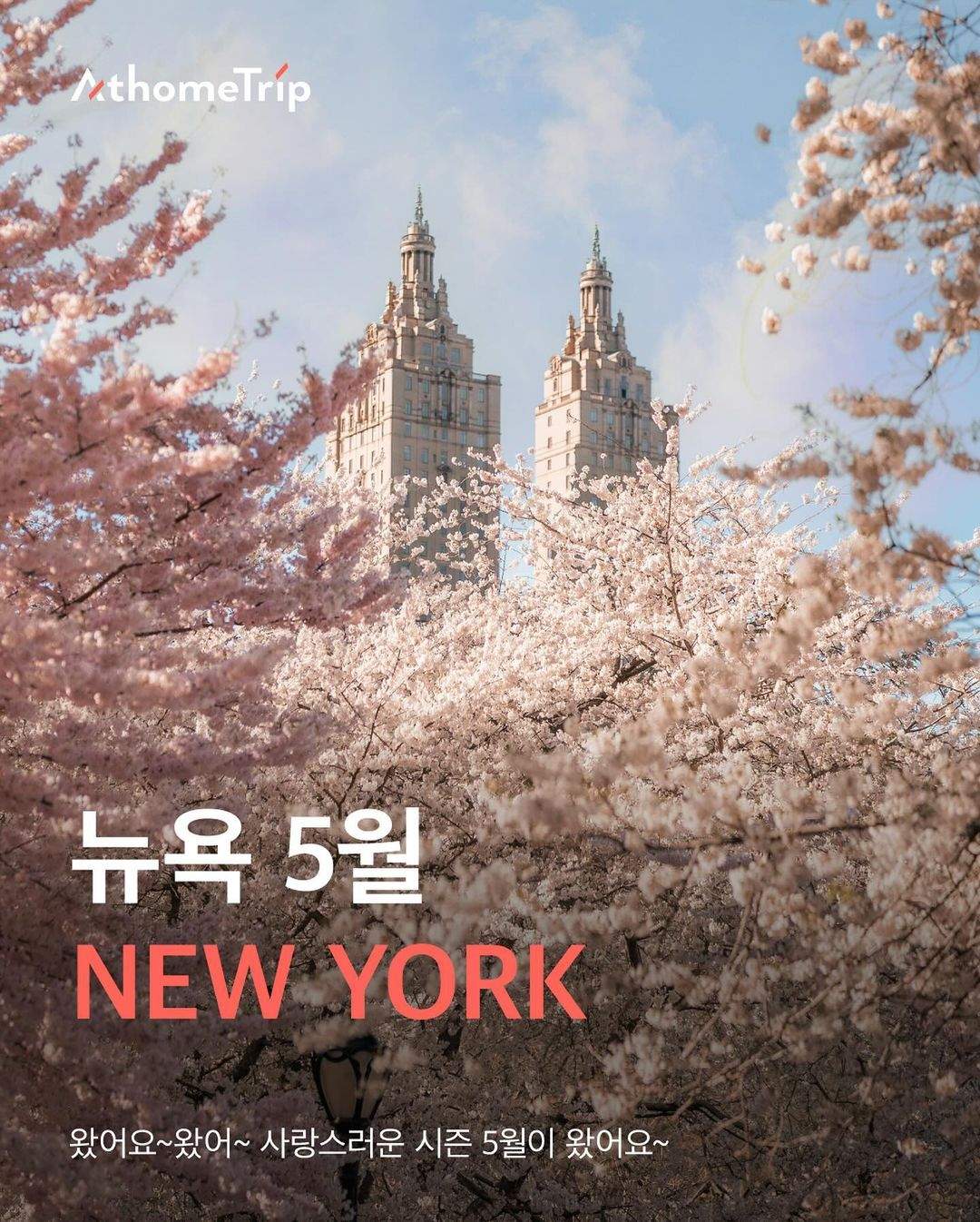 따스한 뉴욕의 5월을 채우는 날씨 정보와 시즌별 이벤트