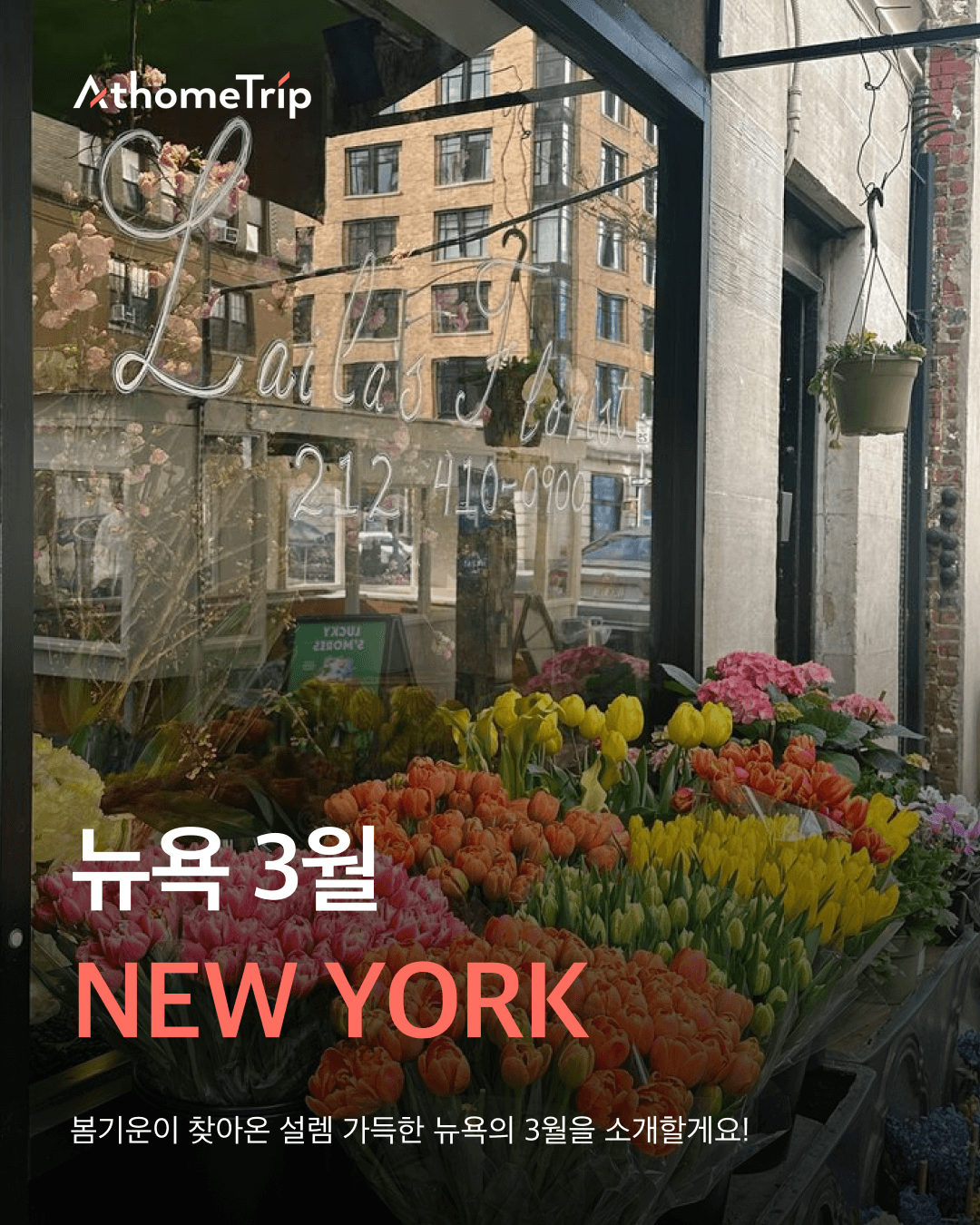 변화하는 뉴욕의 봄, 3월 날씨와 시즌 이벤트에 맞춘 여행 준비