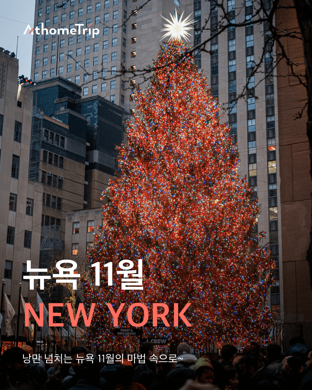 쌀쌀해지는 11월 뉴욕 여행을 위한 날씨별 옷차림과 시즌 이벤트 가이드