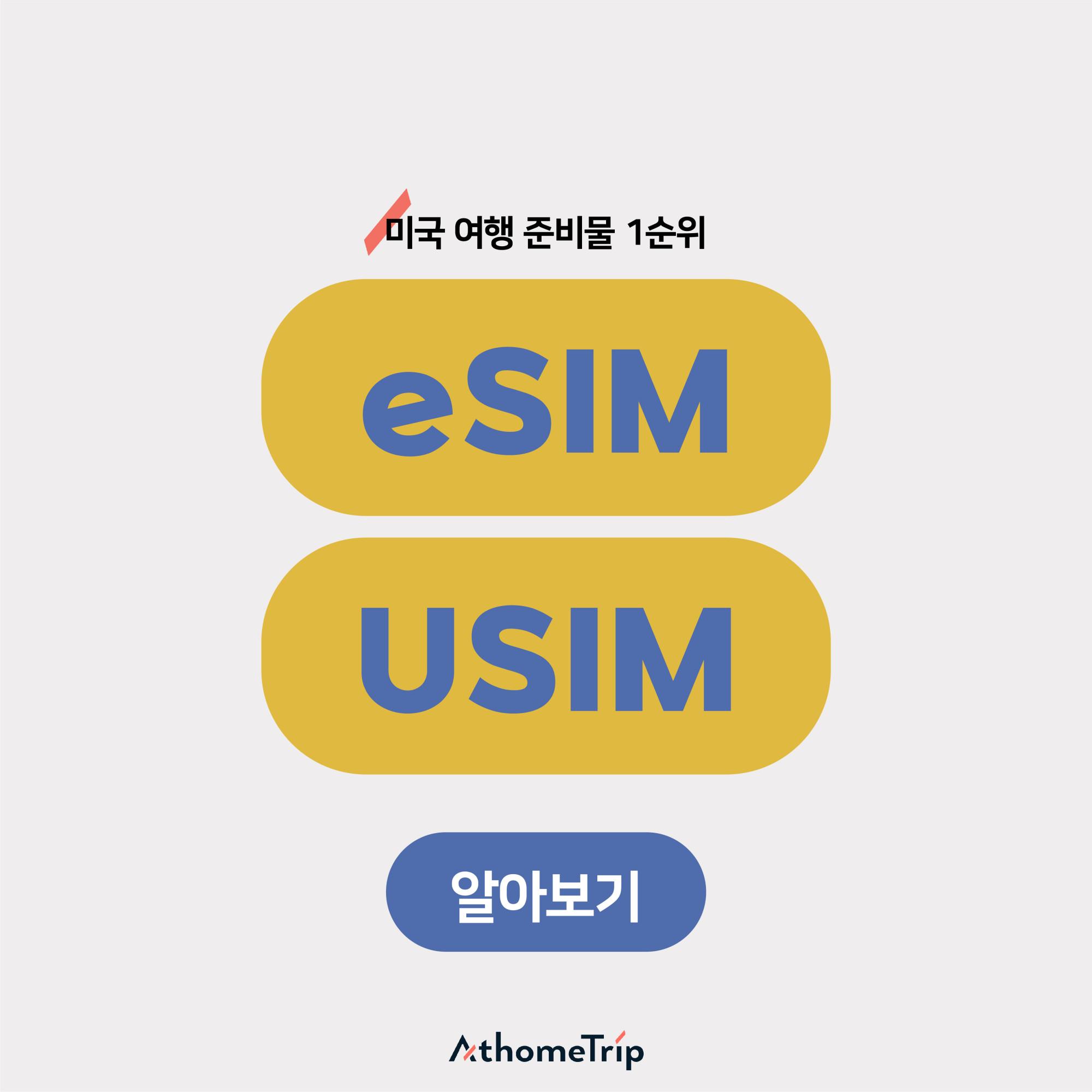 미국 여행 준비물 1순위 eSIM과 USIM 비교를 안내하는 디지털 인터페이스 화면