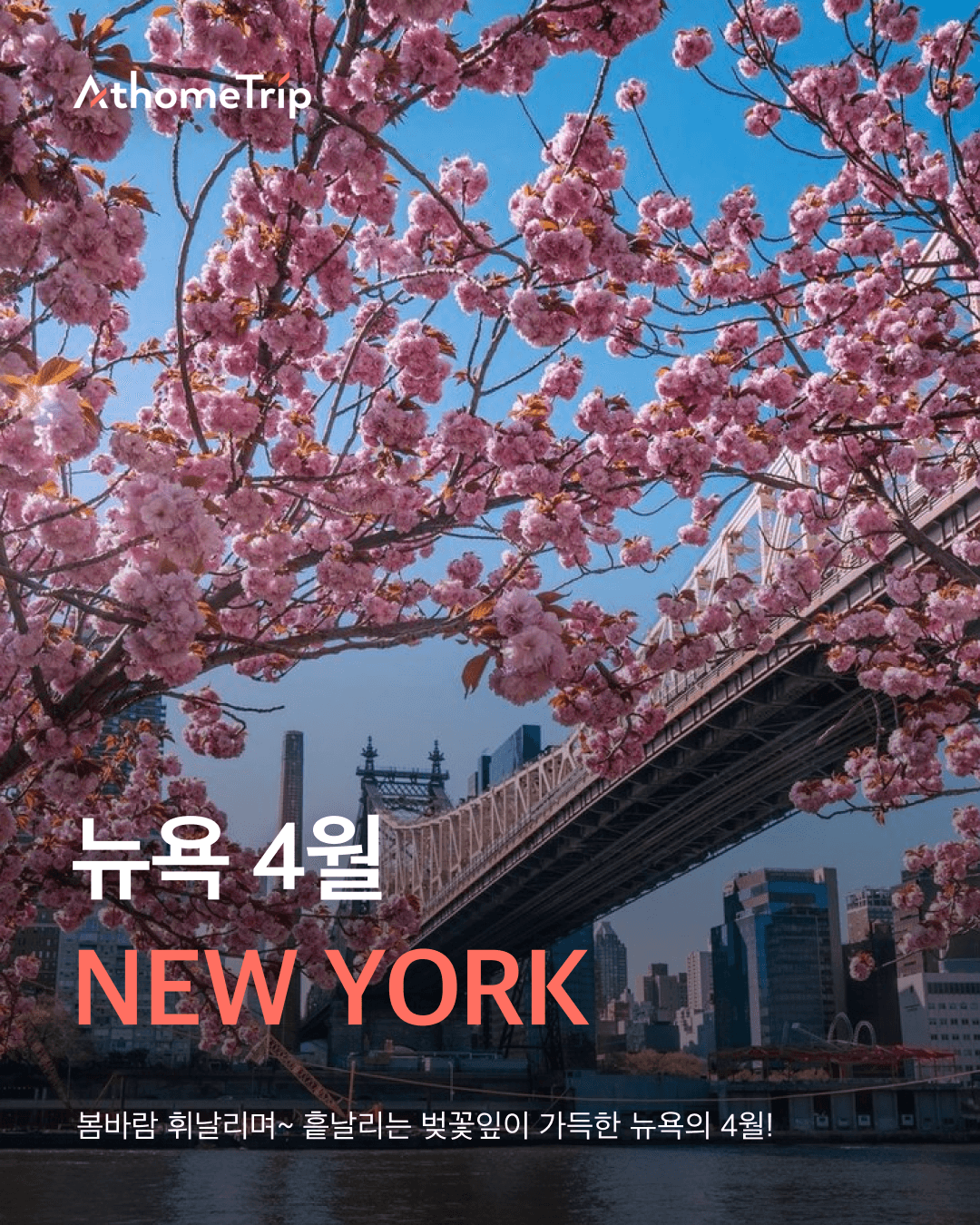 4월 뉴욕의 봄을 온전히 누리는 옷차림과 추천 일정