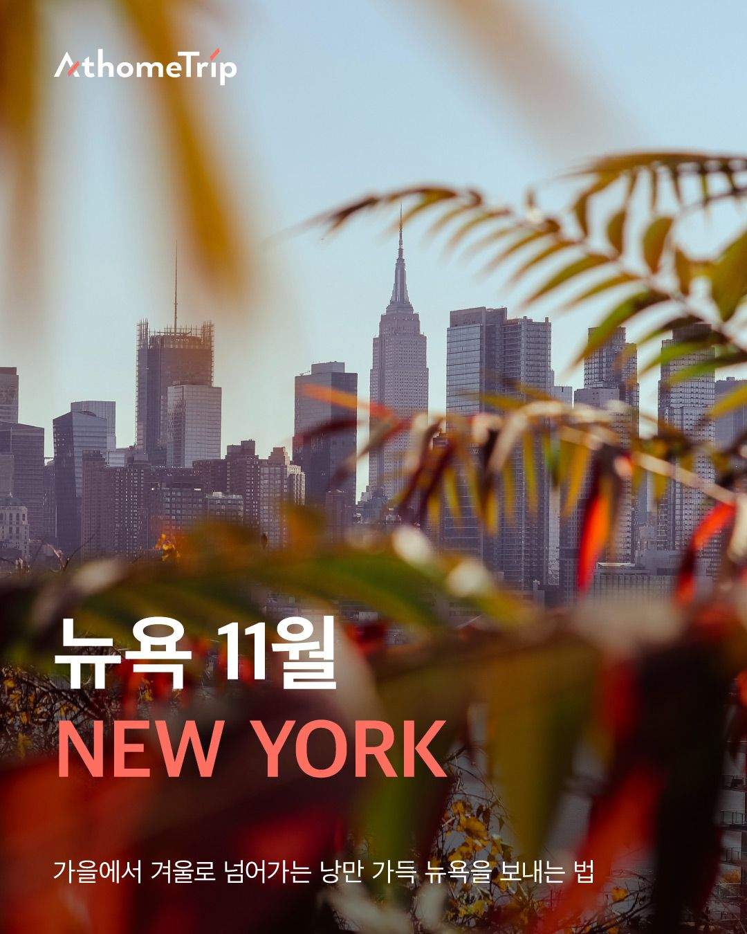 뉴욕의 선선한 가을 날씨에 맞춘 옷차림과 11월의 특별한 일정