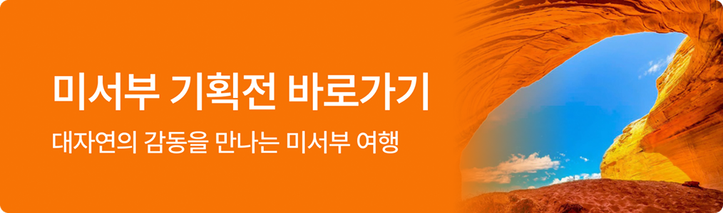 미서부 기획전 바로가기